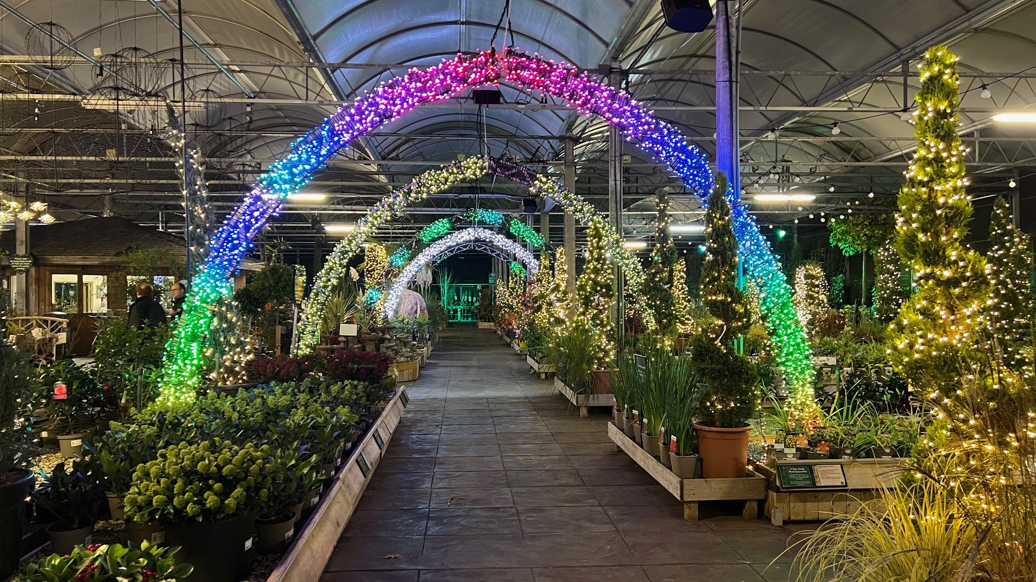 Christmas lighting installation at Barton Grange Garden Centre