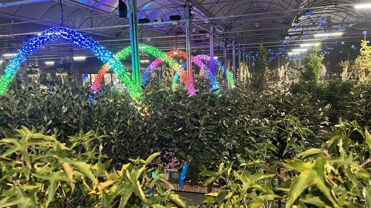 Seasonal decorative lighting installation